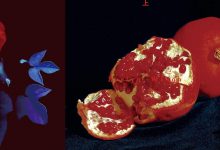 故园风雨后-epub