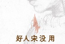 好人宋没用-epub