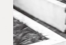 马家辉家行散记：温柔的路途-epub