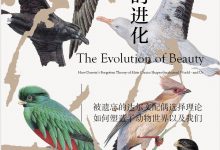 美的进化-epub