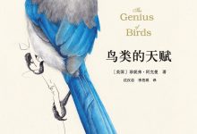 鸟类的天赋-epub