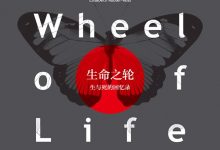 生命之轮:生与死的回忆录-epub