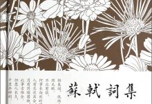 苏轼词集-epub