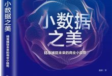 小数据之美:如何预见自我、世界与未来-epub