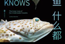 鱼什么都知道-epub