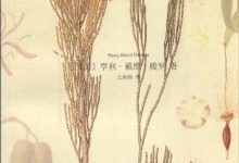 种子的信仰-epub