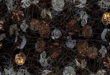 爱欲与文明-epub