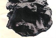 被涂污的鸟-epub