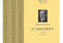 共主观性的现象学-epub