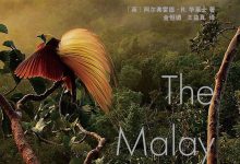 马来群岛自然考察记II-epub