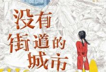 没有街道的城市-epub