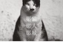 那猫那人那城-epub