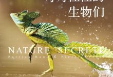 奇奇怪怪的生物们-epub