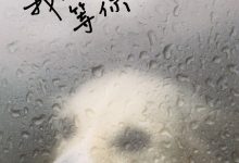 我在雨中等你-epub