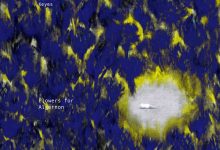 献给阿尔吉侬的花束-epub