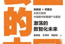 云上的中国:激荡的数智化未来-epub