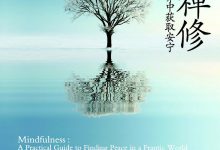 正念禅修:在喧嚣的世界中获取安宁-epub