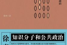 知识分子和公共政治-epub