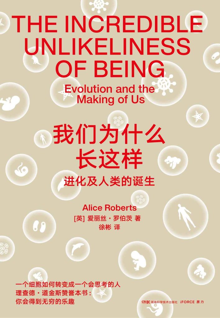 《我们为什么长这样》进化及人类的诞生