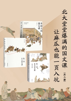 《北大堂堂爆满的国文课》让麻瓜也能一页入坑[全3册]
