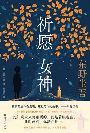 《祈愿女神》东野圭吾