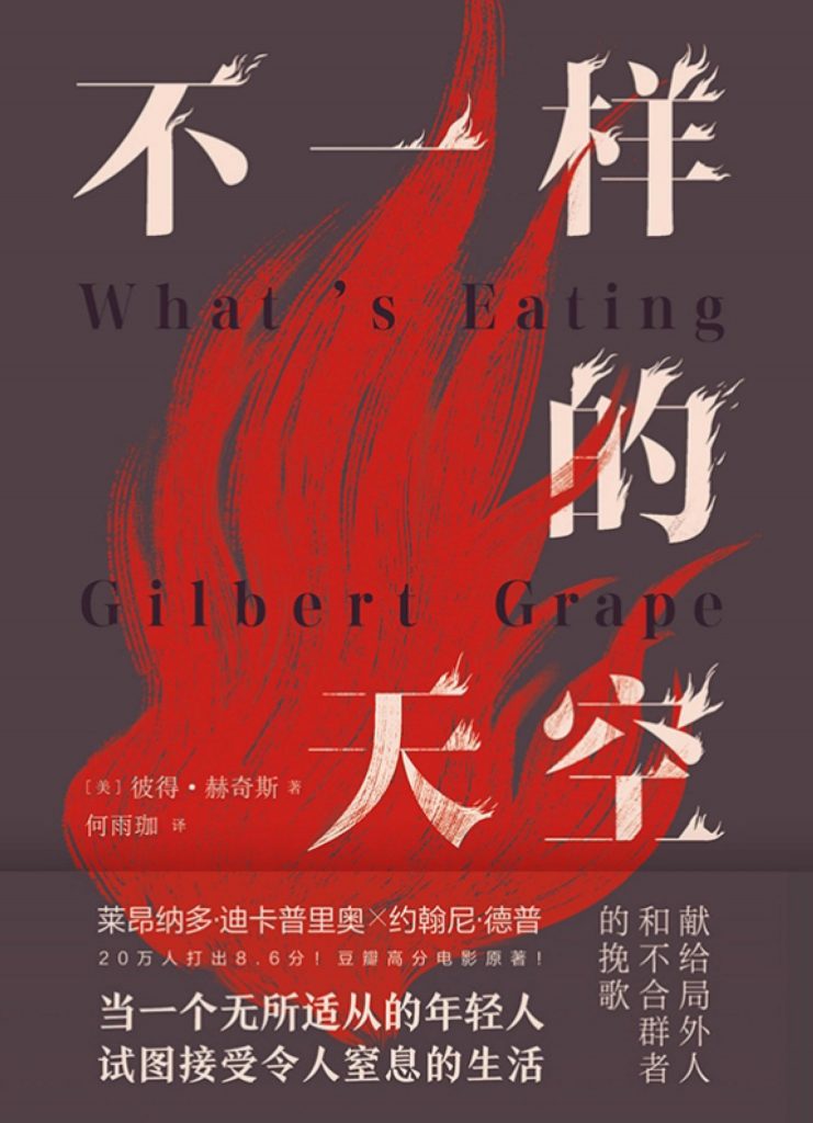 《不一样的天空》彼得·赫奇斯