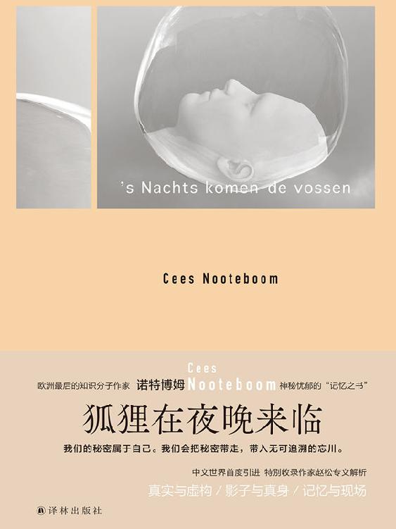 《狐狸在夜晚来临》塞斯·诺特博姆