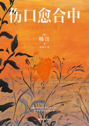 《伤口愈合中》韩江 《伤口愈合中》韩江